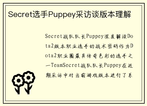 Secret选手Puppey采访谈版本理解