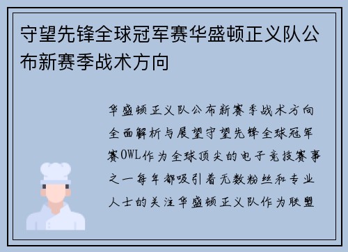 守望先锋全球冠军赛华盛顿正义队公布新赛季战术方向