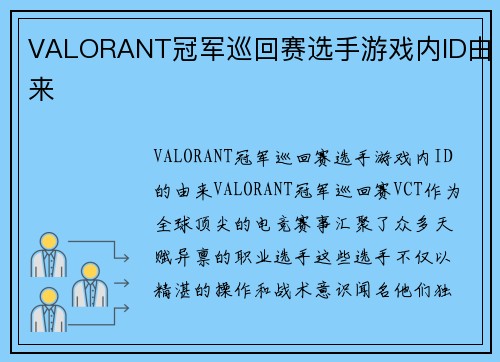 VALORANT冠军巡回赛选手游戏内ID由来
